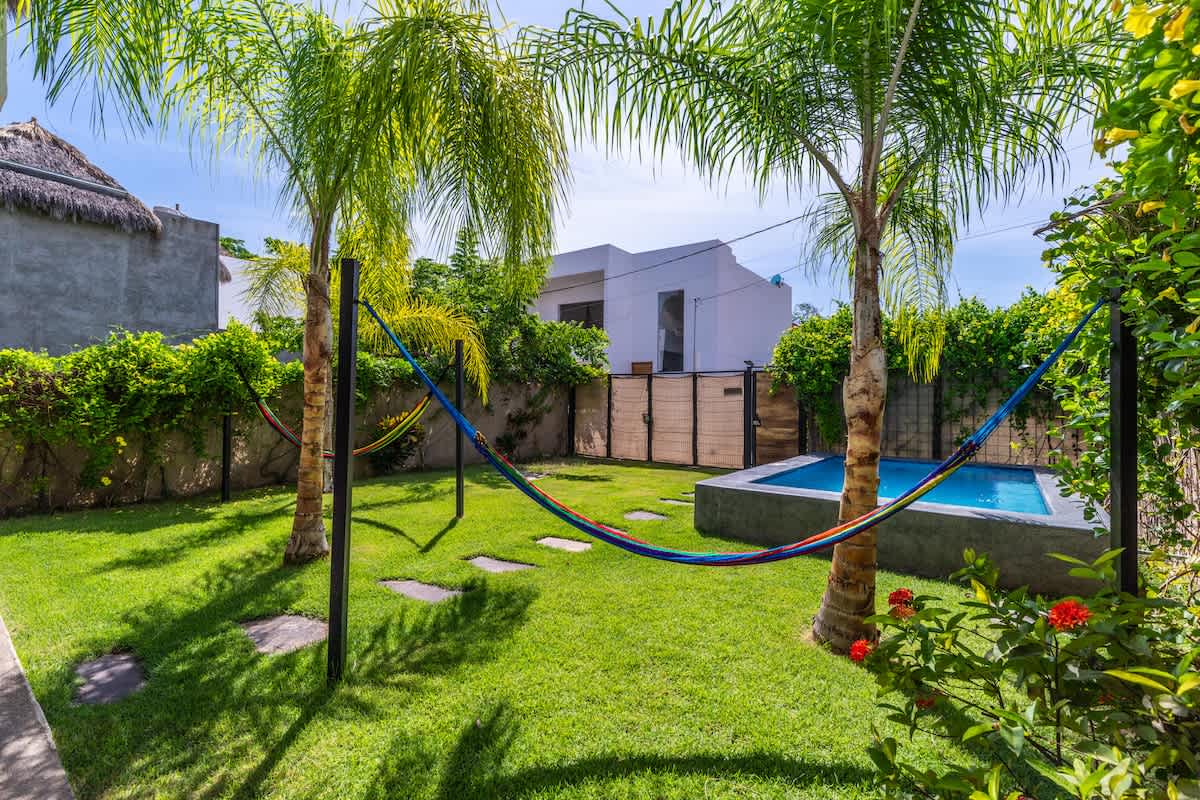 A view of the backyard showing a vibrant green lawn with stepping stones, several colorful hammocks strung between palm trees, and a rectangular swimming pool in the background. The surrounding walls are covered in green climbing plants.