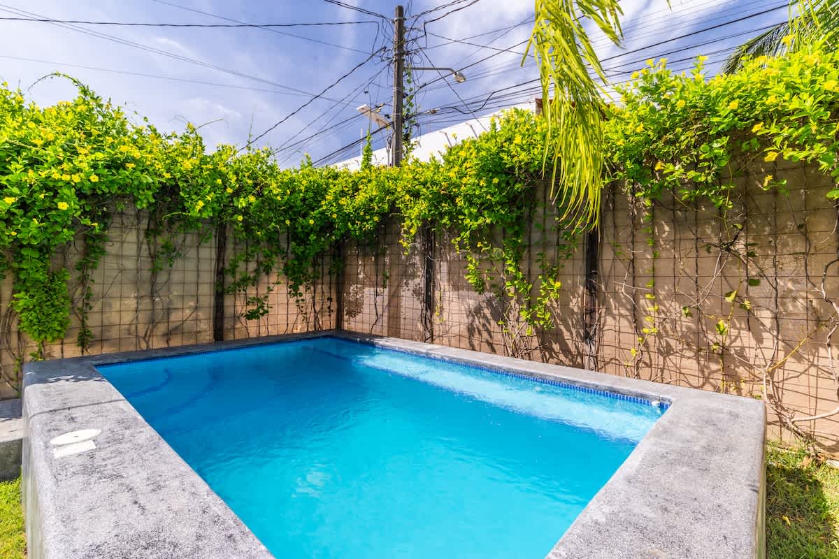 A rectangular swimming pool with vibrant blue tiles and a grey concrete edge, set against a concrete wall covered in lush green climbing plants. The bright blue sky is visible above, with power lines crossing the frame.