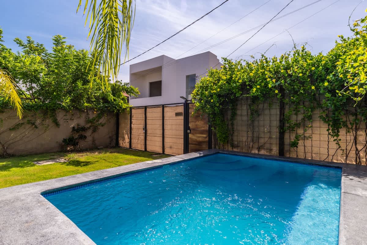 A close-up view of the rectangular swimming pool with bright blue tiles and a grey concrete coping, surrounded by a concrete wall covered in green climbing plants. A modern white building is visible in the background.