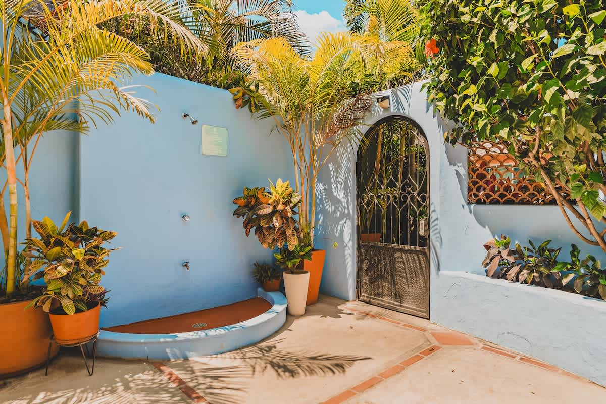 An outdoor shower area with a light blue wall, built-in basin, and multiple shower heads, surrounded by potted tropical plants and leading to an ornate metal gate.