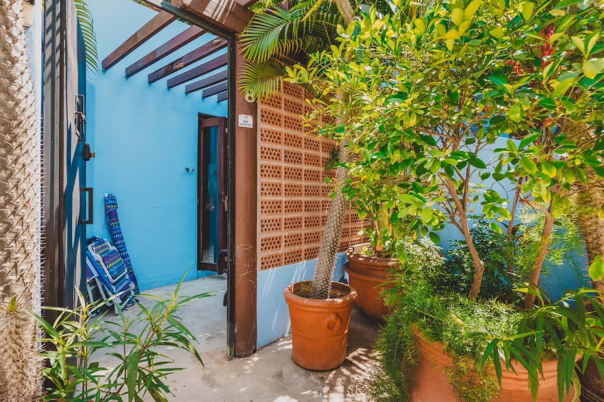 An outdoor walkway with lush potted plants and trees, leading to a light blue building with a decorative brick screen wall and a wooden pergola overhead, suggesting a private entrance.