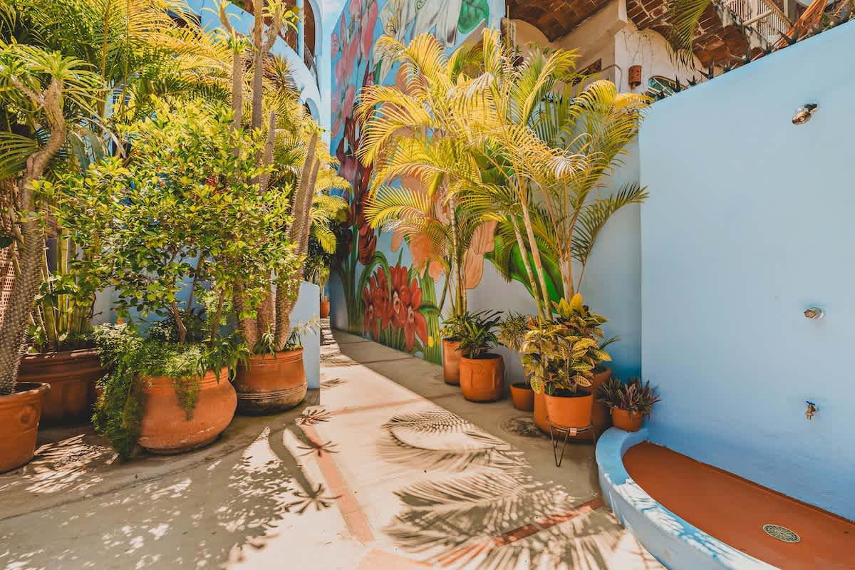 A sunny outdoor walkway lined with potted palm trees and tropical plants, featuring a vibrant mural on one wall and a light blue wall with an outdoor shower basin on the other.