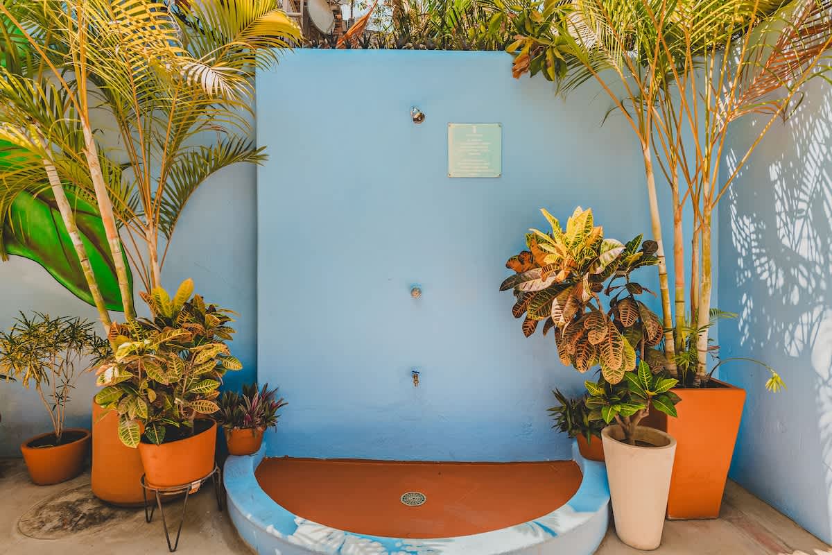 A bright outdoor shower area featuring a light blue wall with multiple shower fixtures and a built-in terracotta-colored basin, flanked by large potted tropical plants and palm trees.
