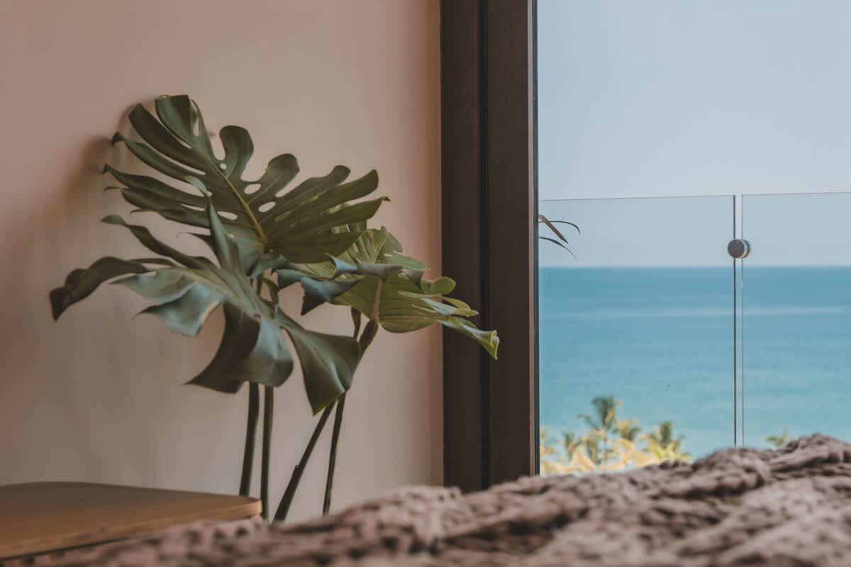 A bedroom view featuring a large Monstera plant next to a window, offering a stunning ocean vista with a clear blue sky and a glass-paneled balcony railing.