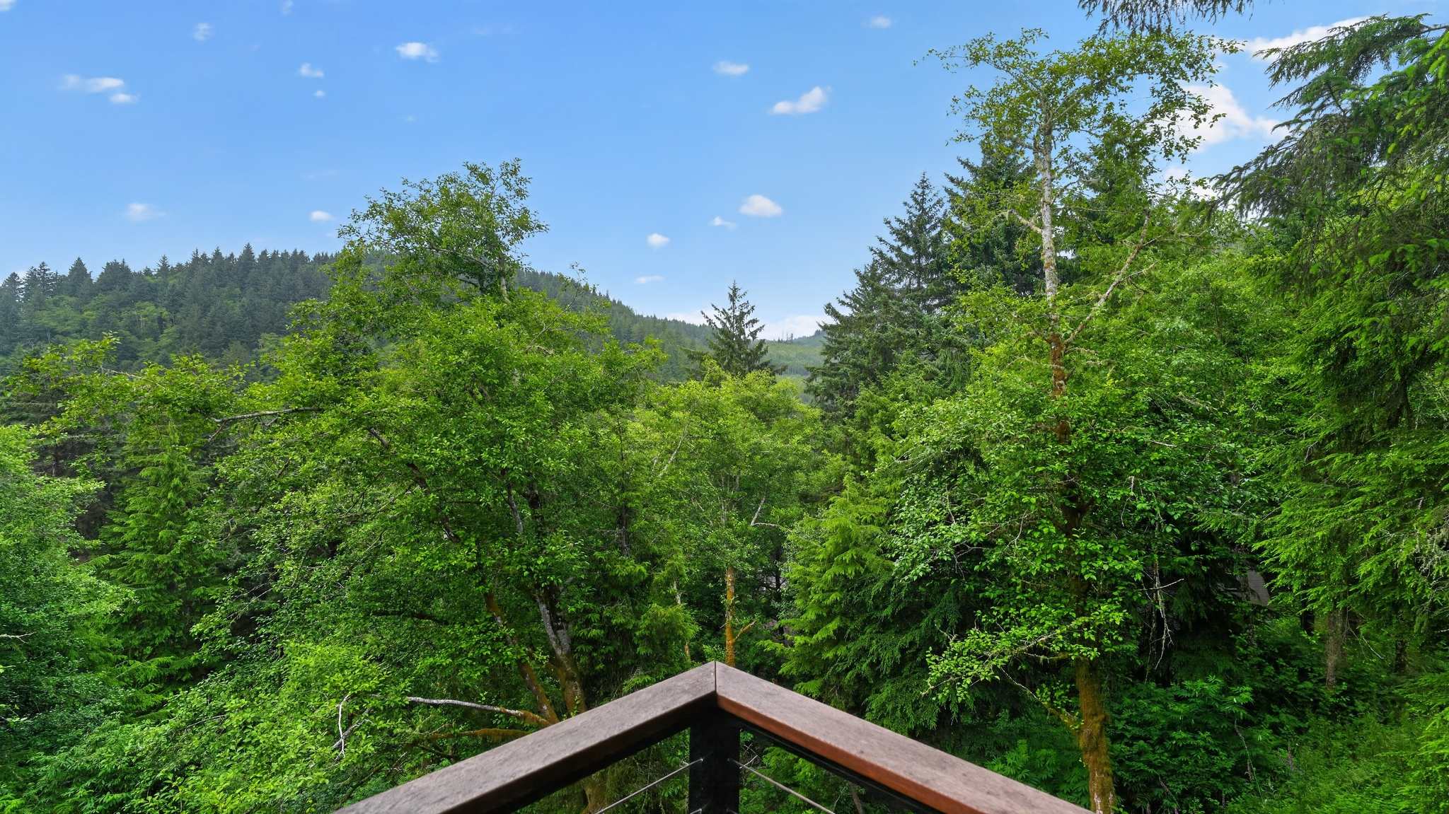 Outdoor balcony with a wooden railing, offering a panoramic view of a dense, lush green forest under a bright blue sky with scattered clouds.