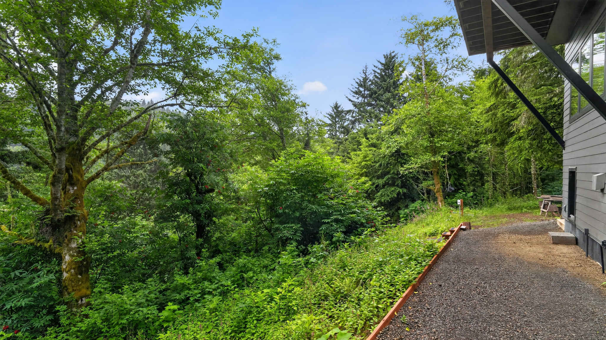 A gravel path runs alongside the modern dark gray house, which is nestled within a vibrant, dense forest with various green trees and undergrowth. The natural landscape provides a secluded and private setting.