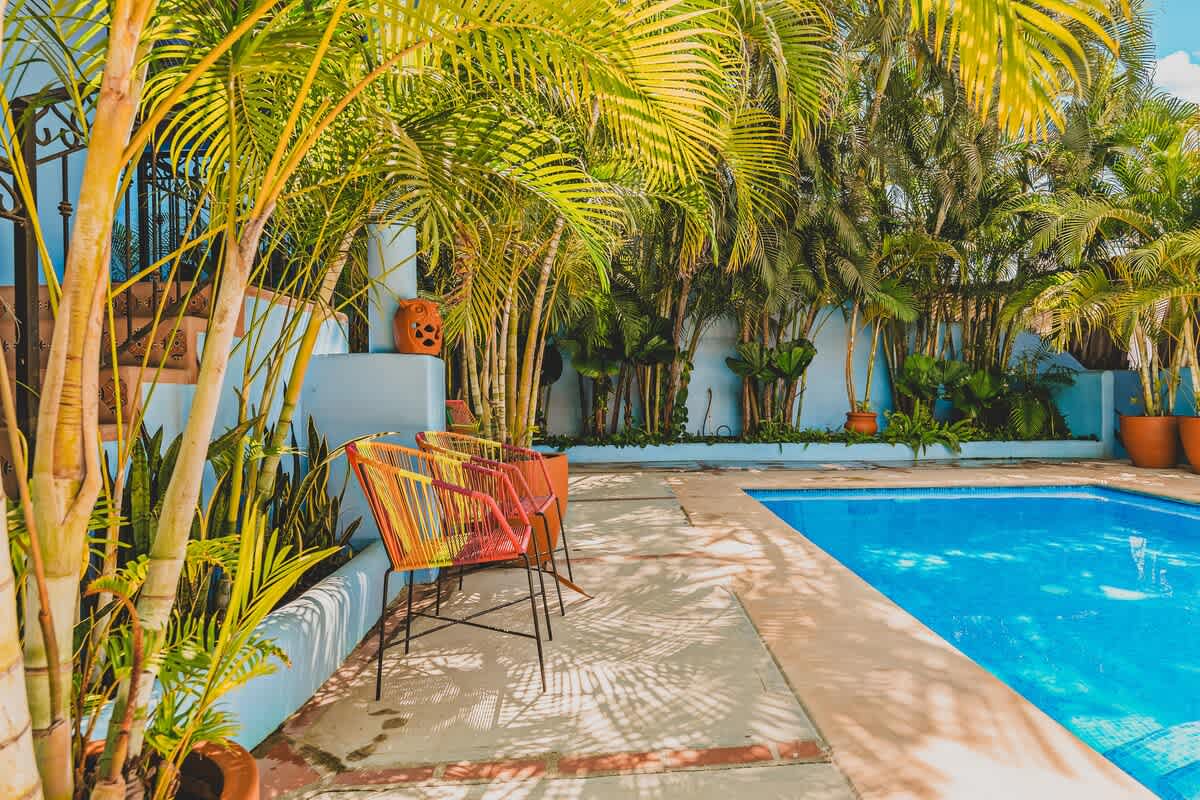 Vibrant outdoor pool area featuring a rectangular blue-tiled pool, surrounded by concrete decking with terracotta accents. Lush palm trees in large terracotta pots and colorful acapulco chairs create a tropical ambiance against a light blue wall.