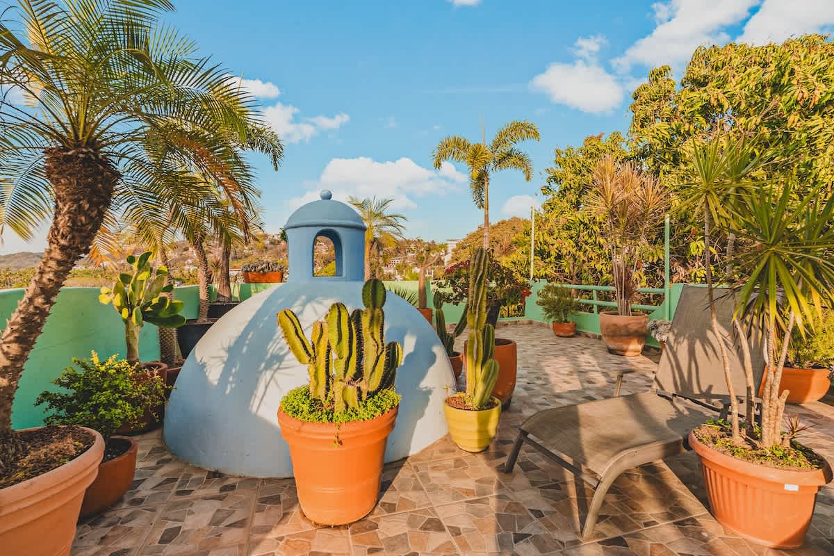 A vibrant rooftop terrace features a light blue dome structure, surrounded by various potted cacti and palm trees, with a patterned tile floor under a bright blue sky.