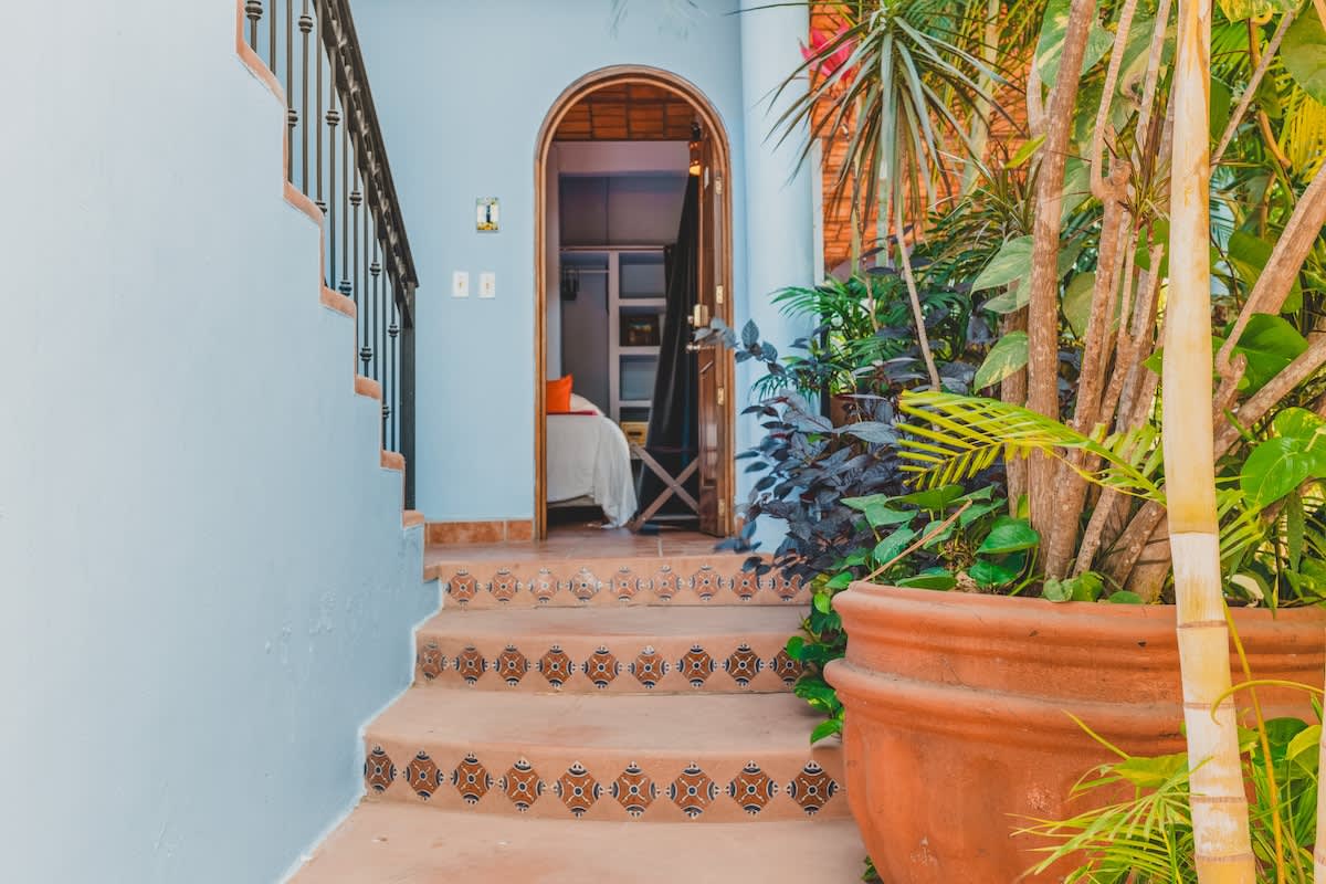 Arched doorway leading into a room, visible from the top of a short outdoor staircase with decorative tiled risers, surrounded by large potted plants and lush greenery.