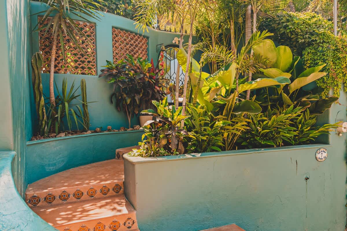 A curved outdoor pathway with terracotta-tiled steps, featuring decorative patterns, is flanked by a teal wall and a variety of tropical plants, with a glimpse of a metal gate.