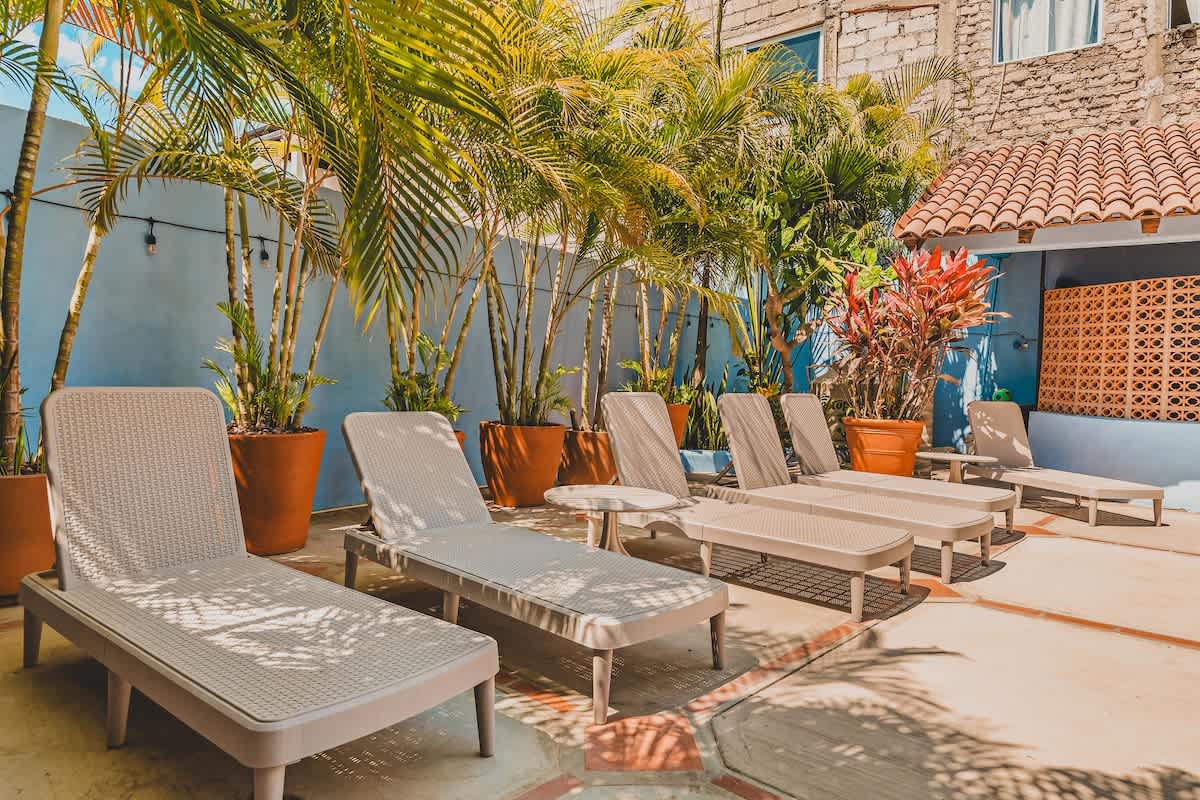 Sunny poolside patio featuring several light-colored wicker lounge chairs arranged on concrete paving with terracotta accents. Tall potted palm trees and vibrant red-leafed plants line the light blue wall, creating a serene tropical setting.