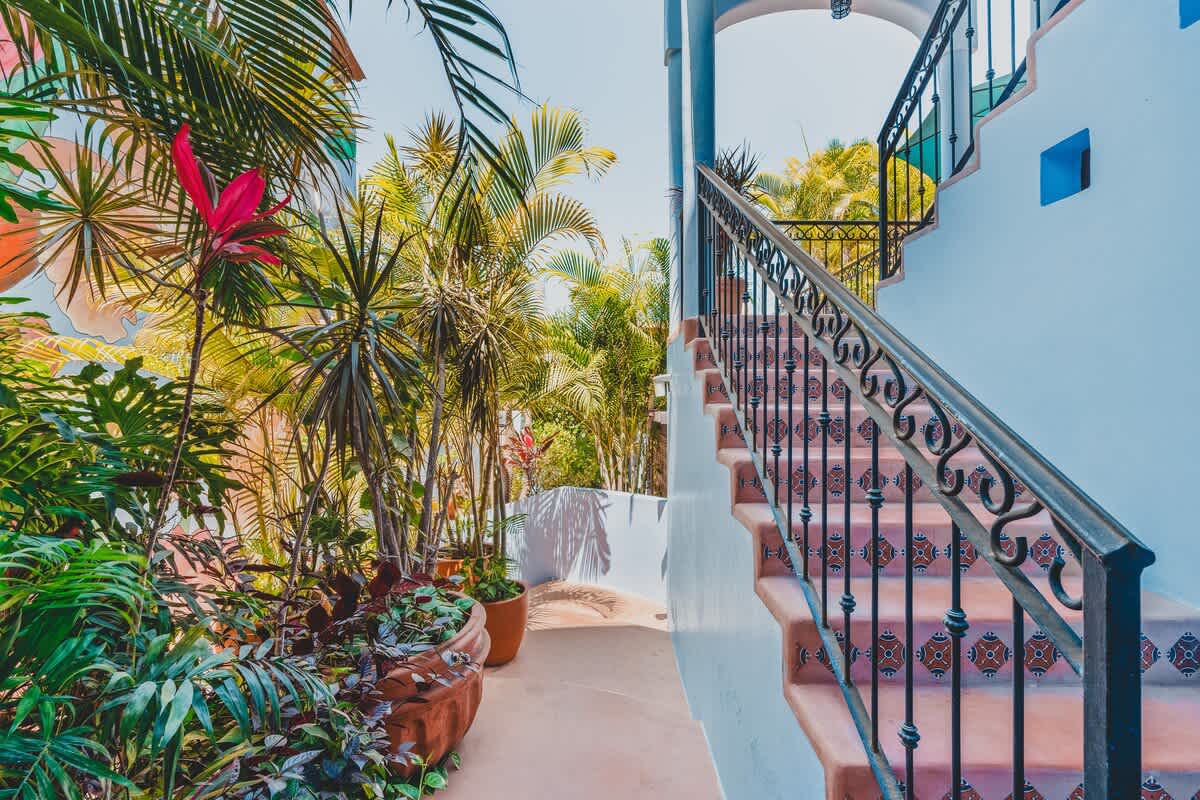 Outdoor staircase with decorative tiled risers and a black wrought-iron railing, flanked by lush tropical plants and a light blue wall, leading up to an arched entryway.