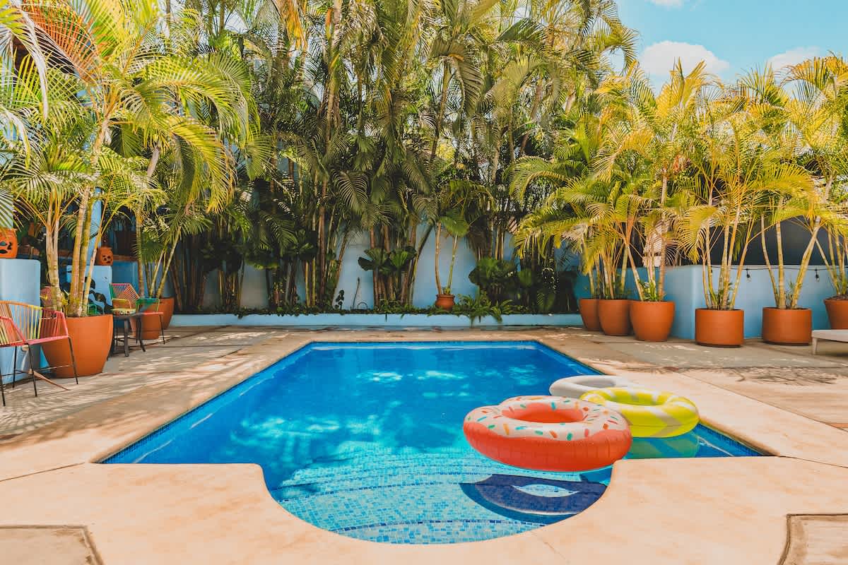 Close-up view of the sparkling blue swimming pool with two colorful donut-shaped floats. The pool is surrounded by concrete decking, and a dense line of tall palm trees in terracotta pots creates a natural privacy screen against a light blue wall.