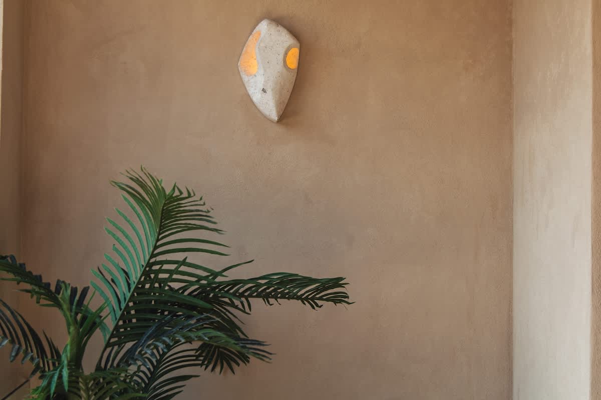 A textured beige wall adorned with a unique, organic-shaped wall sconce emitting a warm glow, positioned above a vibrant green palm plant, adding a touch of natural elegance.