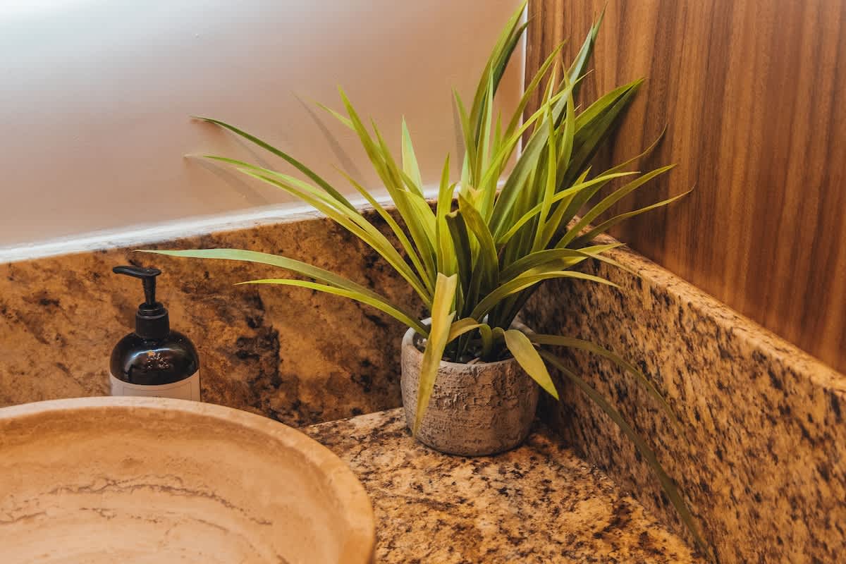 A vibrant green potted plant and a black pump soap dispenser sit on a speckled granite countertop, next to a light-colored, round vessel sink.