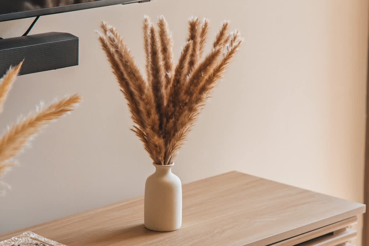 A minimalist white ceramic vase holds a bouquet of fluffy, dried pampas grass, sitting on a light wood console table against a neutral-colored wall, with a soundbar visible above.