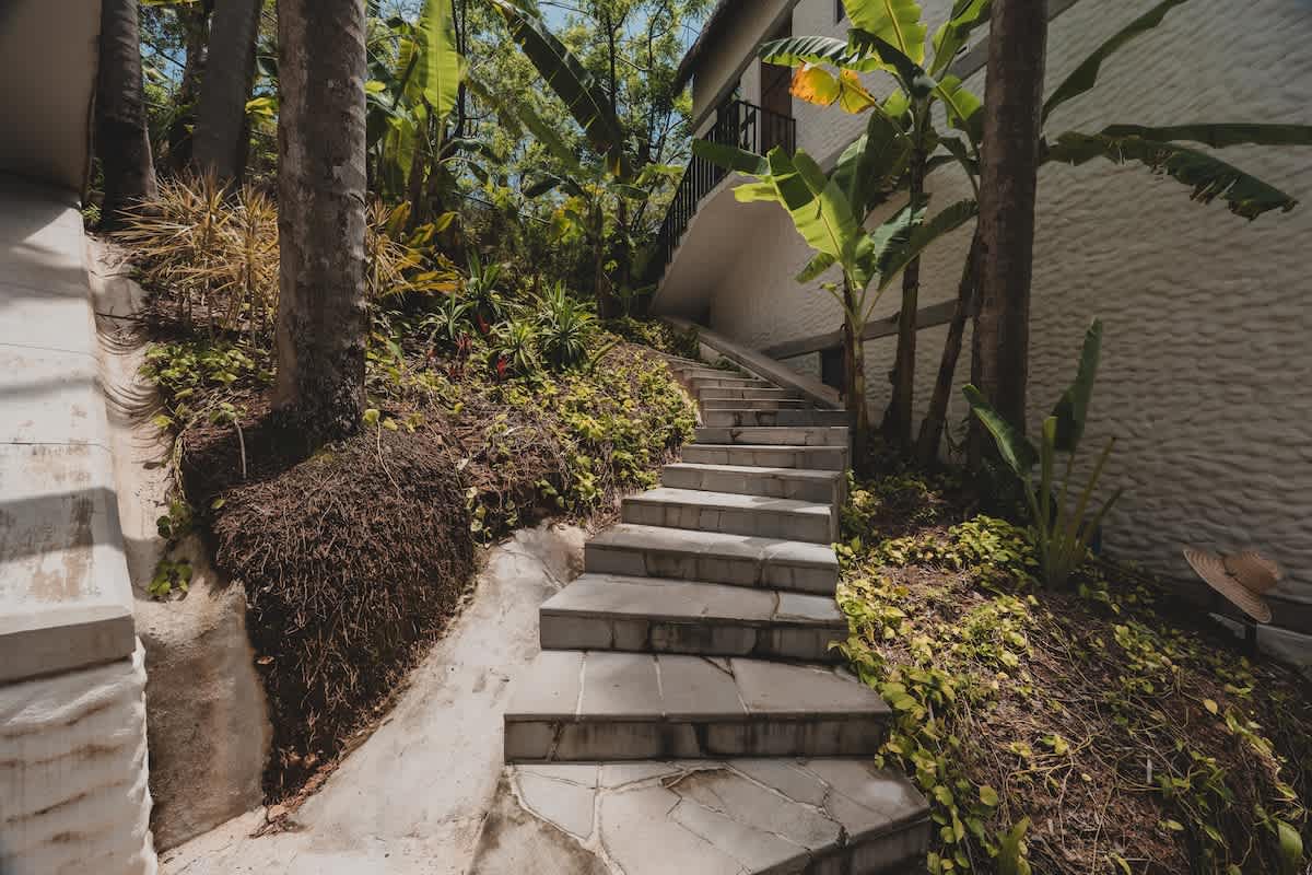 A stone staircase winds uphill through dense tropical vegetation, with banana plants and other greenery creating a jungle-like atmosphere.