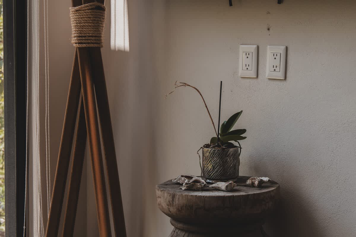 A rustic wooden pedestal table displays a potted orchid and decorative shells, set against a textured light wall with two electrical outlets, beside a window offering a glimpse of lush greenery.