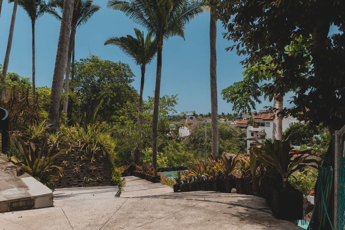 A winding concrete path is lined with lush tropical plants and tall palm trees, offering a glimpse of distant houses and the ocean horizon under a clear blue sky.