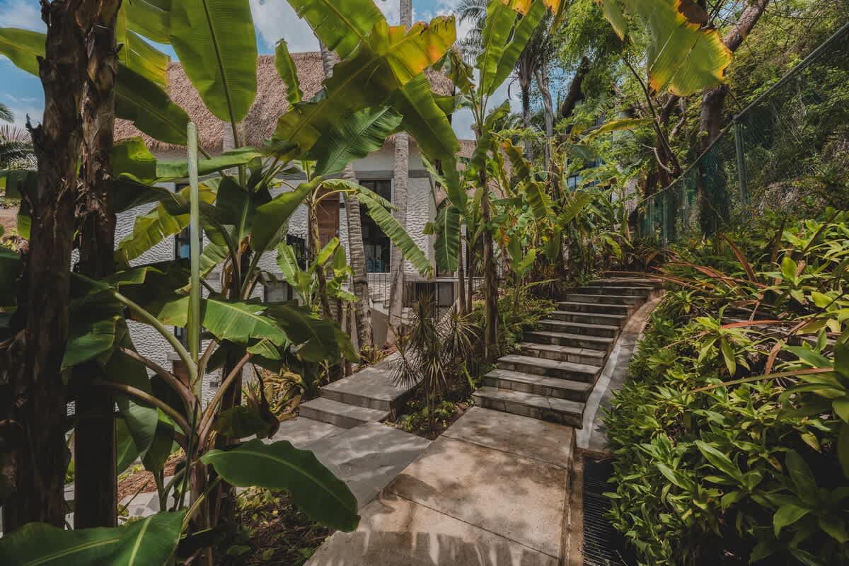 A concrete pathway with steps winding through dense tropical greenery, leading up to a white building with a thatched roof, surrounded by tall palm trees.