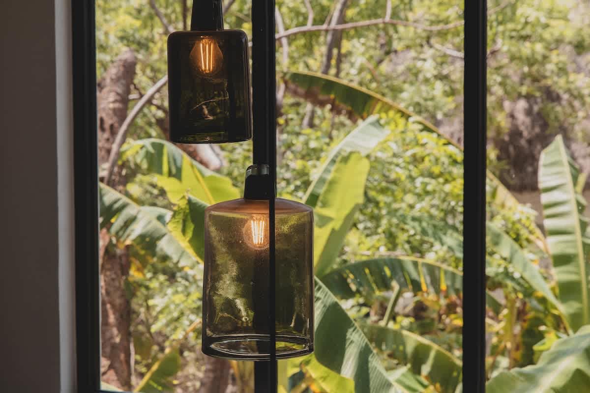 Two modern pendant lights with dark glass shades and exposed filament bulbs hang elegantly in front of a large window, offering a lush, vibrant view of green jungle foliage outside. The dark window frame contrasts with the bright natural light.