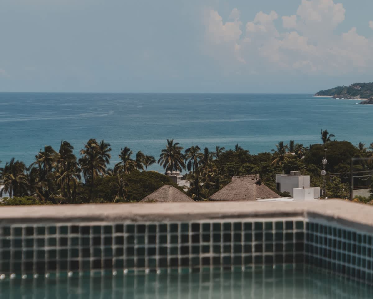 A stunning rooftop pool offers panoramic views of the ocean, lush palm trees, and distant coastline under a clear blue sky. The foreground shows the tiled edge of the pool.