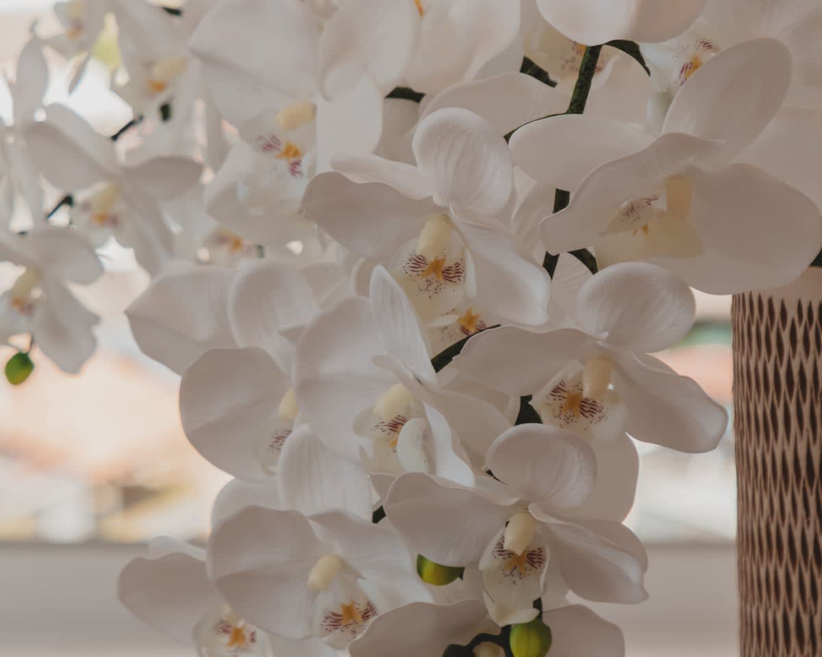 A close-up showcases a beautiful arrangement of white artificial orchids, featuring delicate petals with subtle yellow and red accents in their centers, adding a touch of elegance.