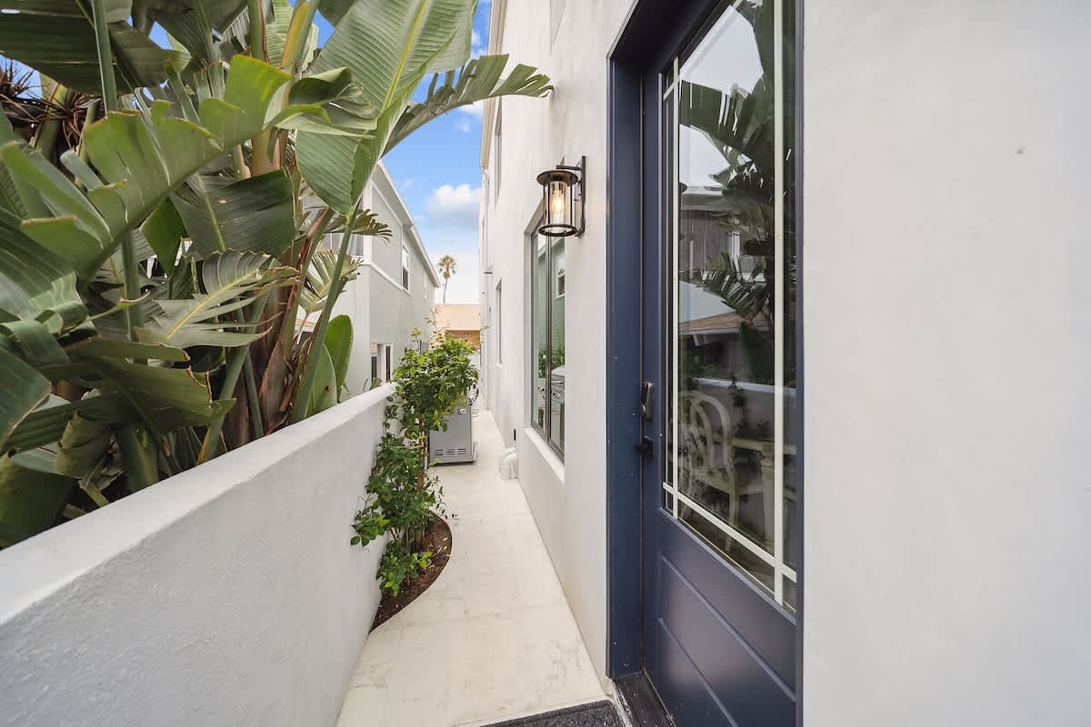 Narrow exterior pathway alongside a white building, lined with lush tropical plants, leading to a dark blue entrance door with glass panels.