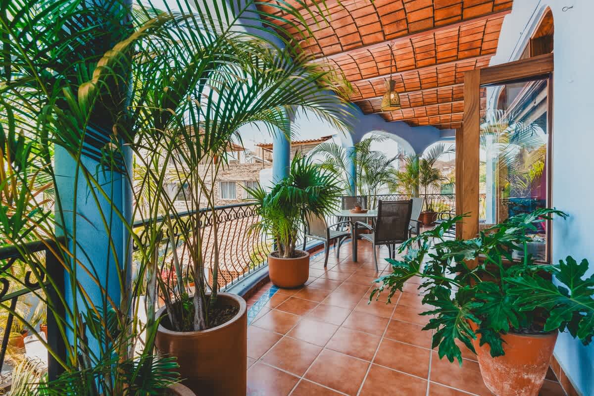 A vibrant outdoor balcony features terracotta floor tiles and a terracotta vaulted ceiling, with light blue walls and white arched columns. Lush green palm plants in terracotta pots line the wrought iron railing, and a small outdoor dining set is visible in the background.