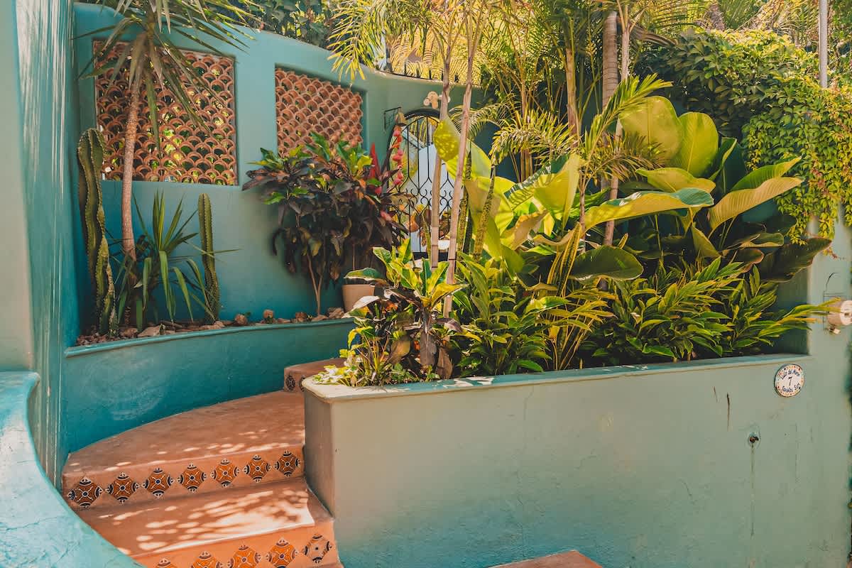 A vibrant outdoor garden path with teal walls, patterned terracotta steps, and lush tropical foliage including cacti and large-leafed plants, leading to a decorative metal gate.