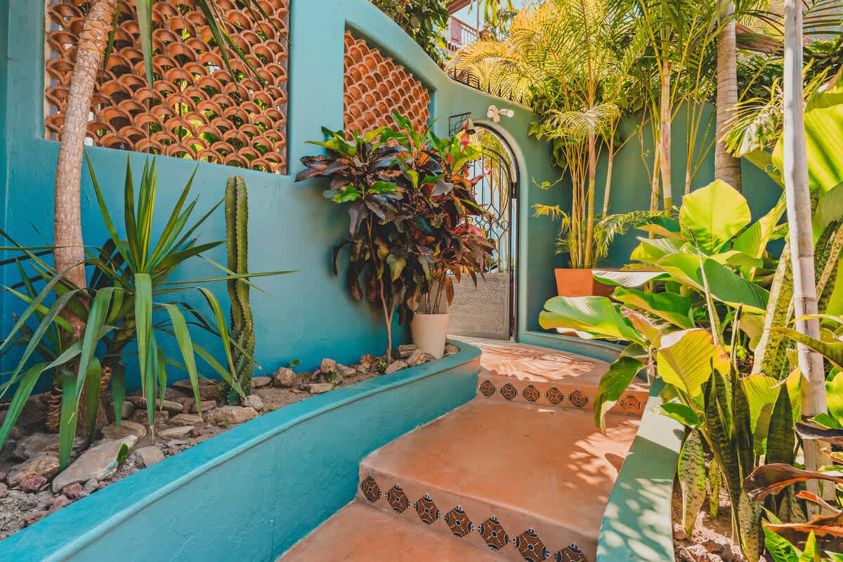 A vibrant outdoor garden path with teal walls, patterned terracotta steps, and lush tropical foliage including cacti and large-leafed plants, leading to a decorative metal gate.