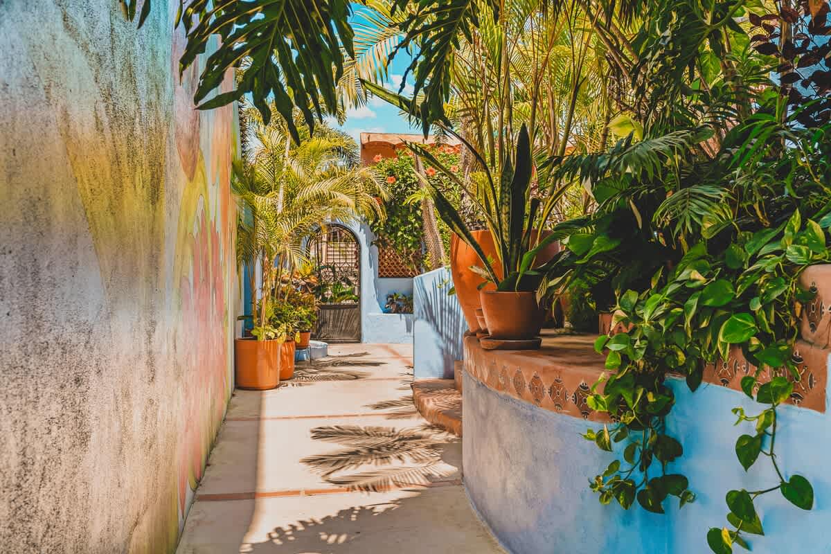 A vibrant outdoor pathway with a colorful mural on one wall and lush potted plants, leading towards a decorative metal gate and bathed in dappled sunlight.