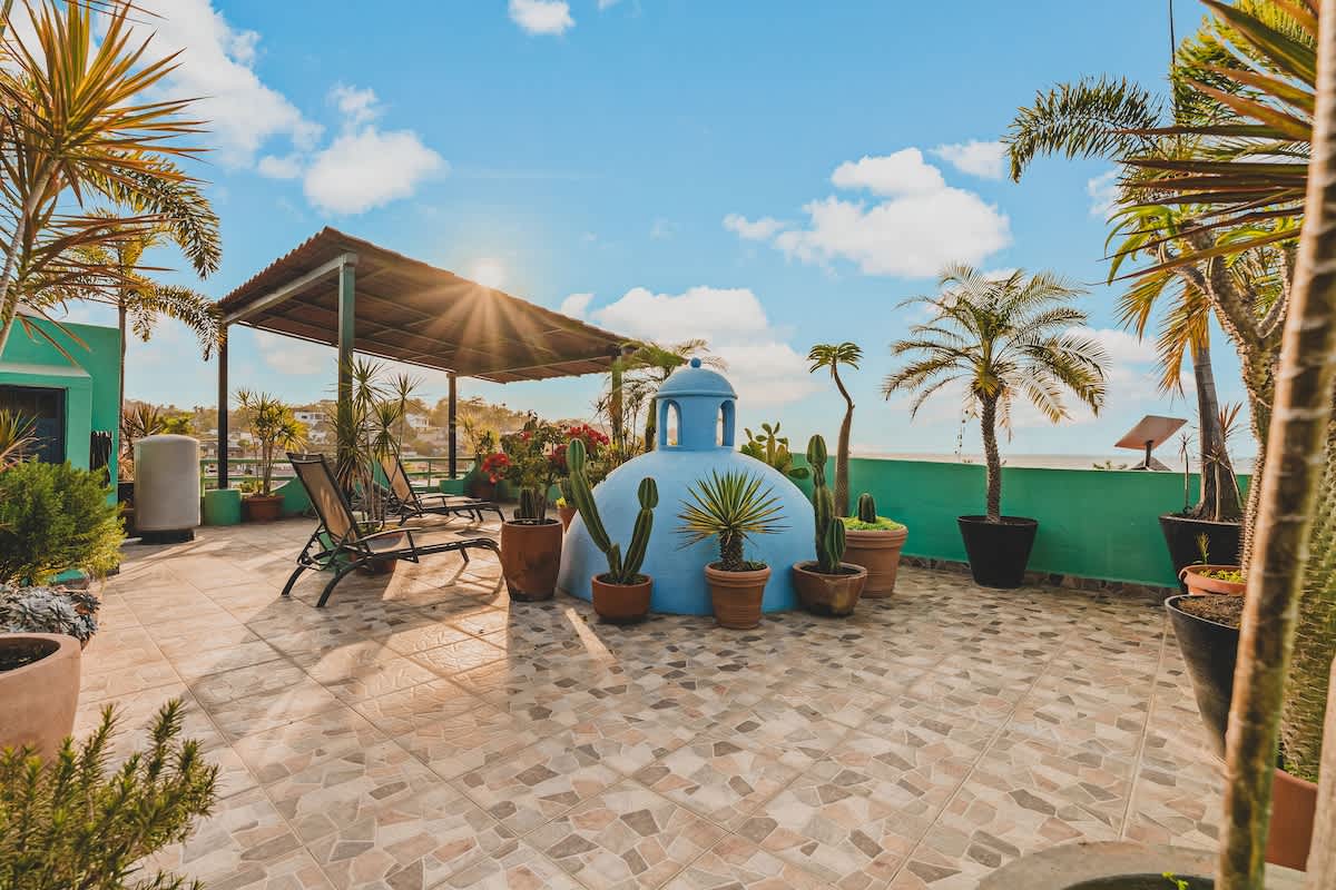 An expansive rooftop deck showcases a central blue dome, surrounded by potted plants and palm trees, with a covered seating area and lounge chairs, offering glimpses of the ocean in the distance under a sunny sky.