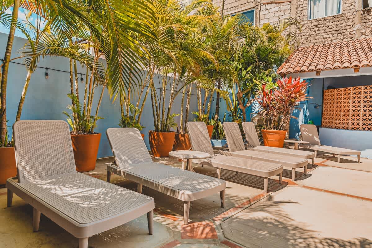 A sunny poolside lounge area with several light-colored chaise lounge chairs arranged on a concrete patio. Lush potted palm trees and other tropical plants create a vibrant, relaxing atmosphere.