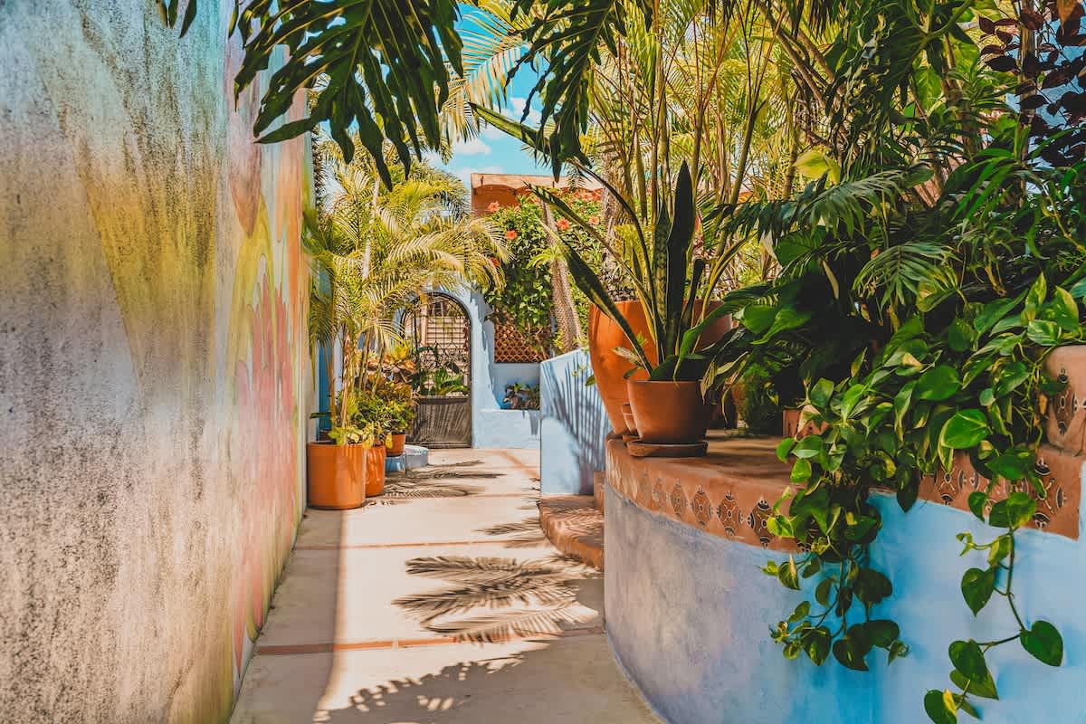 A narrow outdoor pathway is bordered by a vibrant, colorful mural on one wall and a collection of potted tropical plants on the other, leading towards a decorative metal gate under a sunny sky.