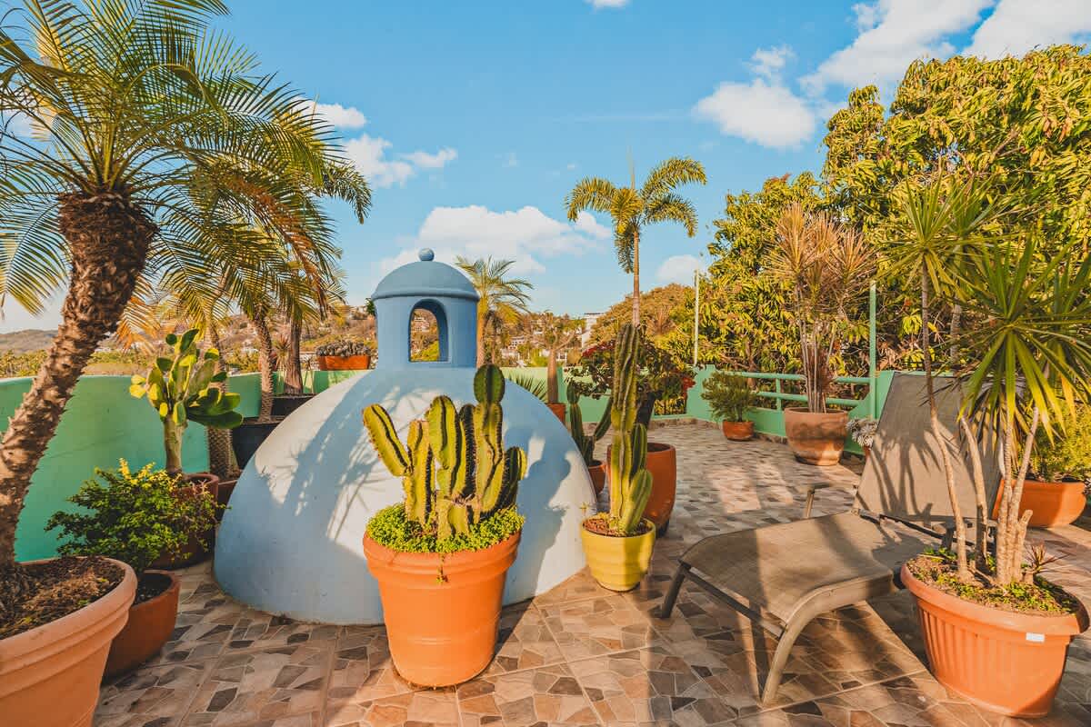 A spacious rooftop terrace is adorned with numerous potted cacti, palm trees, and other plants, centered around a light blue domed structure. A lounge chair is visible on the tiled floor under a clear blue sky.