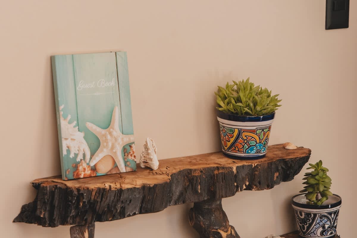 A rustic live-edge wooden shelf displays a teal "Guest Book" with a starfish and seashell motif, alongside two potted succulent plants in decorative ceramic pots. This charming arrangement adds a welcoming, coastal touch to the space.