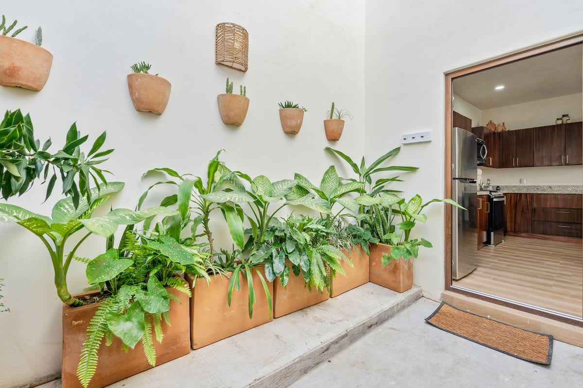 Small outdoor patio featuring several potted plants and wall-mounted planters with succulents, creating a lush green space. A glass door leads back into the kitchen area.