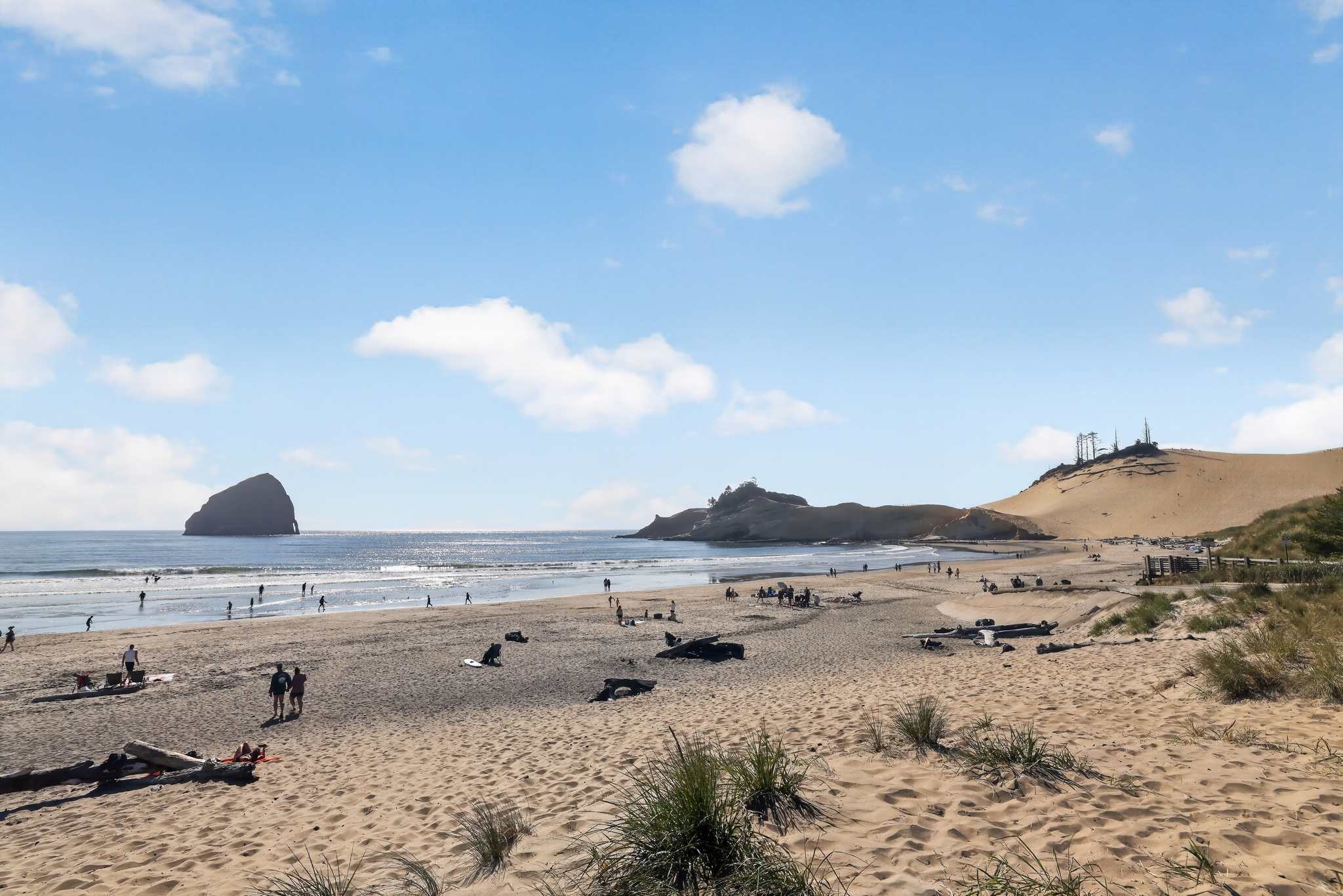 Expansive sandy beach with numerous people enjoying the sunny weather, featuring a large rock formation in the ocean and a distant headland. Driftwood and sparse vegetation are scattered across the foreground.