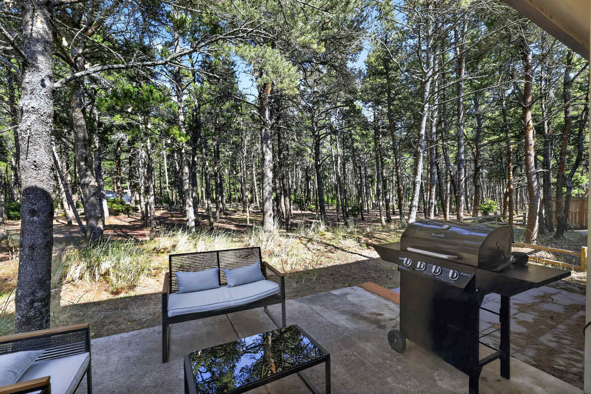 A concrete patio nestled among tall pine trees features a black gas grill and a modern outdoor seating area with a bench and coffee table, providing a private space for outdoor dining and relaxation.