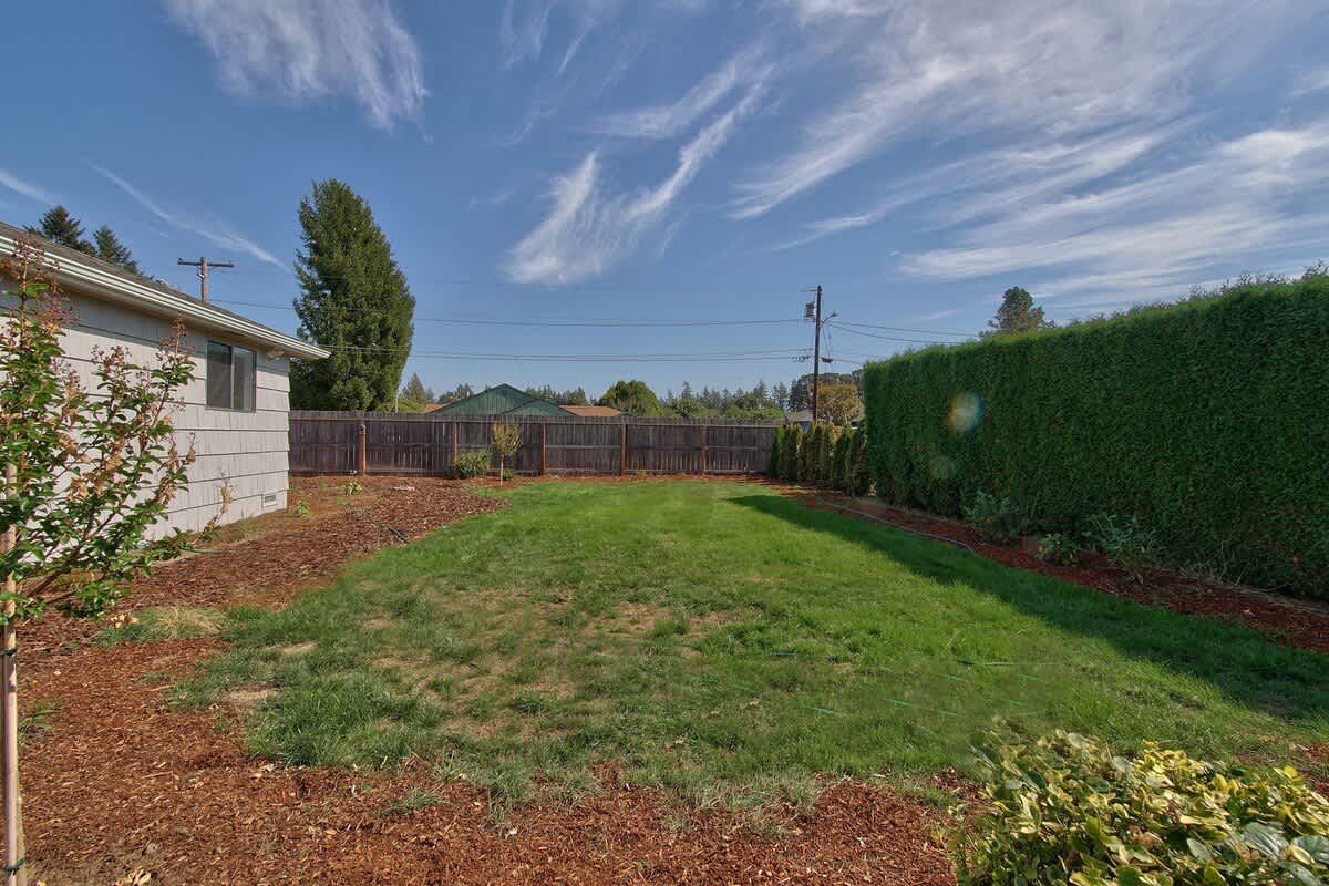 A well-maintained backyard features a central green lawn surrounded by brown mulch, enclosed by a wooden fence and a tall, manicured hedge under a bright blue sky.
