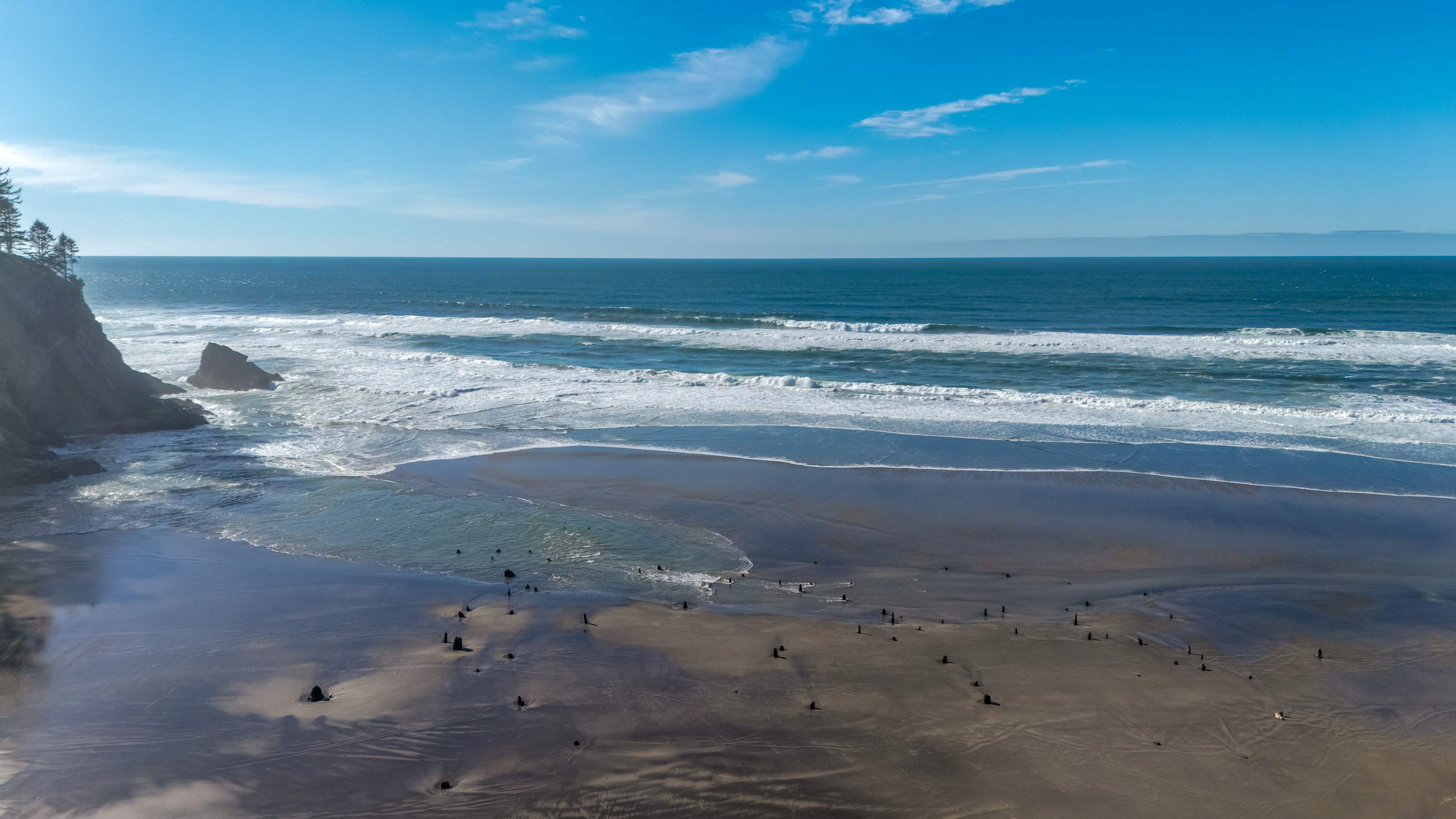 Wide shot of a vast sandy beach with gentle ocean waves breaking on the shore under a clear blue sky. Several dark, weathered tree stumps are visible on the wet sand, adding a unique natural element.
