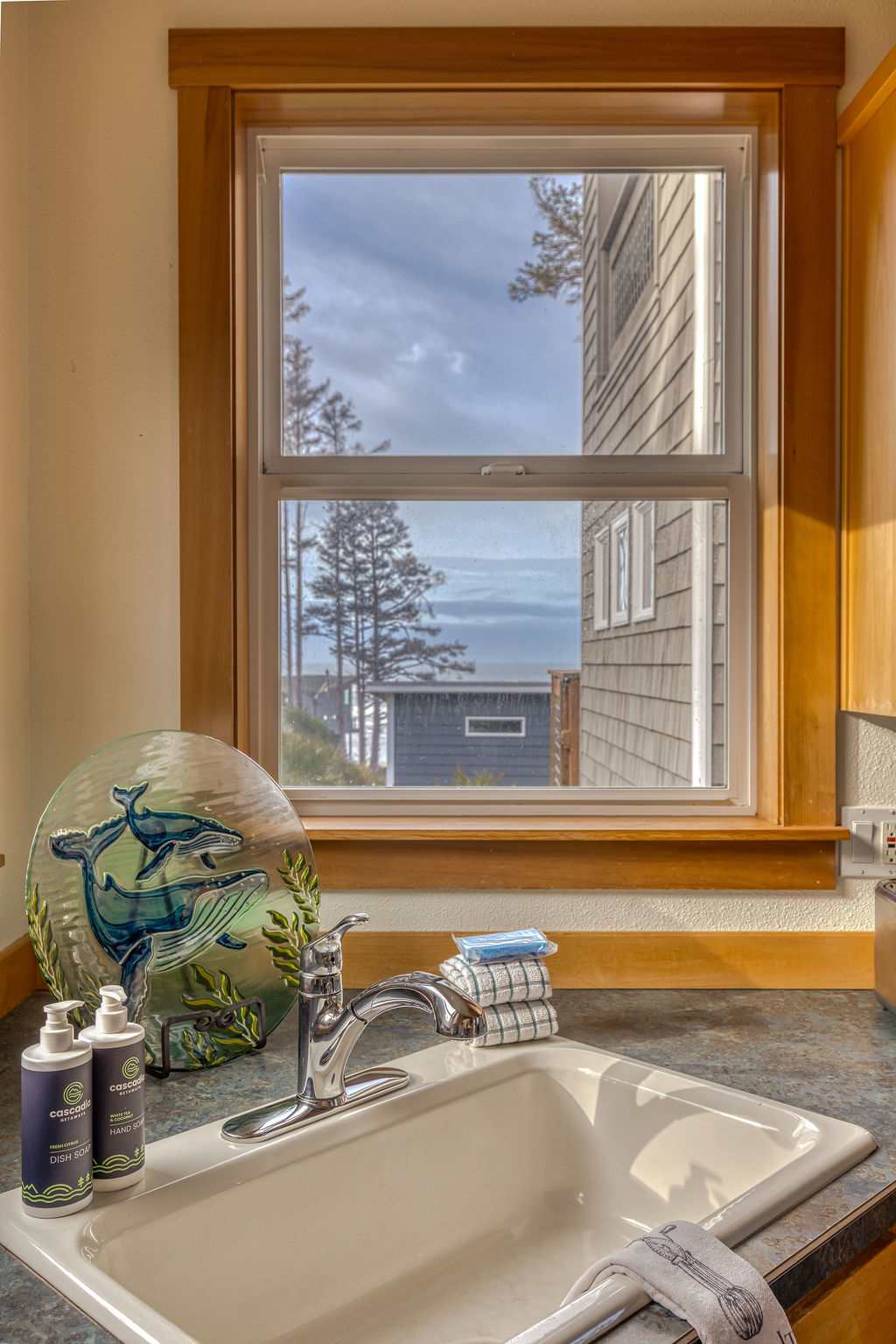 Close-up of a kitchen sink area with a window offering a partial view of the ocean and surrounding houses, featuring a decorative whale plate and various cleaning supplies.