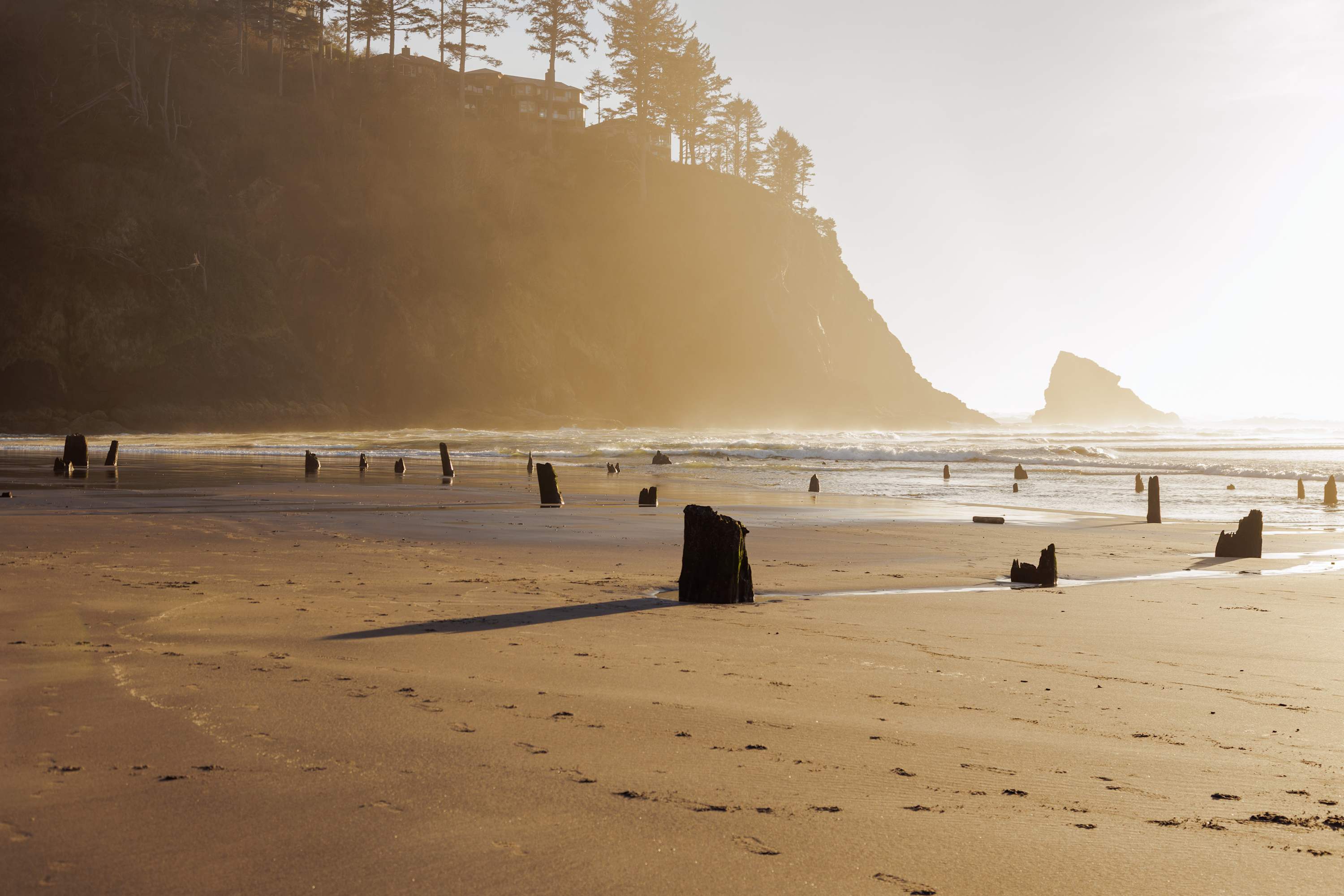 A wide-angle view of a sandy beach at sunset, featuring numerous ancient wooden posts (ghost forest) scattered across the foreground, with misty cliffs and ocean waves in the background.