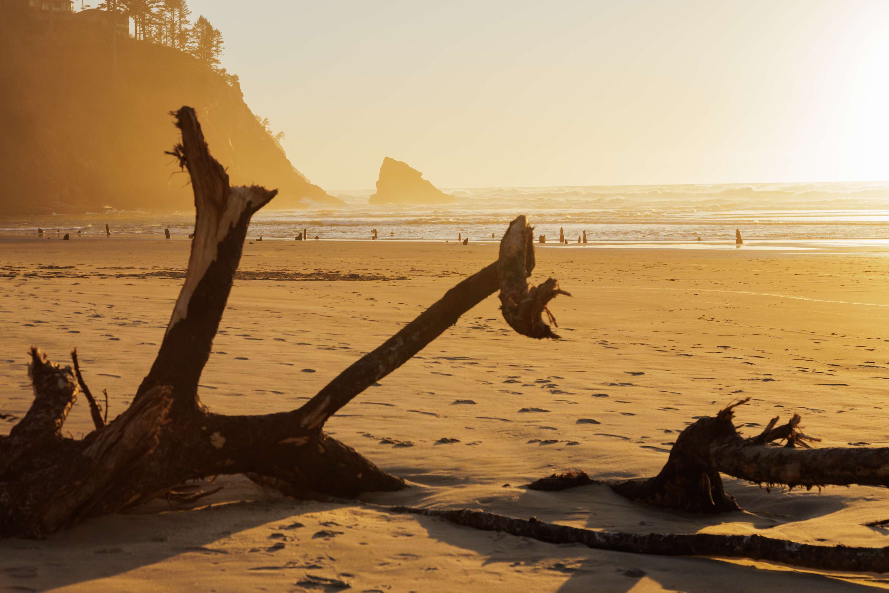 Scenic view of a sandy beach at sunset, with golden light illuminating the sand and ocean waves. Large pieces of driftwood are scattered in the foreground, and a distant sea stack is visible against the glowing horizon.