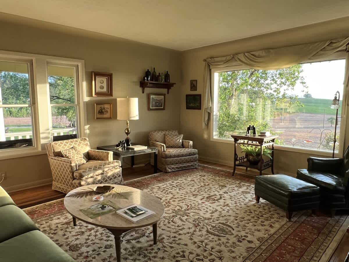 A sunlit living room with hardwood floors and a large patterned rug, featuring a green velvet sofa, two armchairs, a marble coffee table, and a view of the outdoors through large windows.