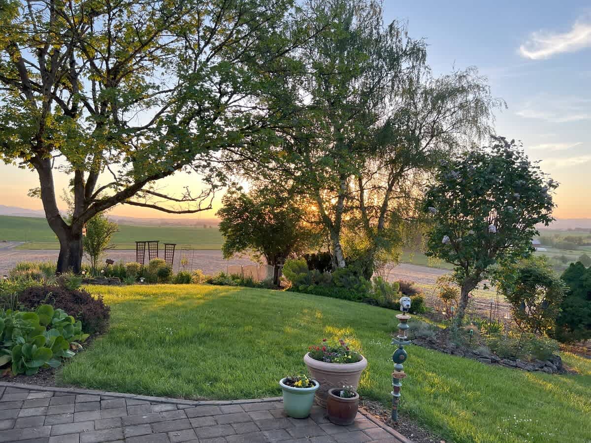 A stone-paved patio with potted plants transitions to a sloping green lawn, bordered by lush garden beds and mature trees, with a warm sunset casting golden light over distant hills.