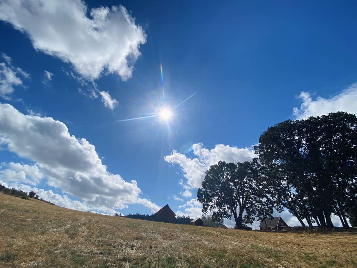 A bright sun shines intensely in a clear blue sky with fluffy white clouds, creating a lens flare, while a grassy hill slopes down towards distant trees and a red barn, showcasing the expansive rural setting.