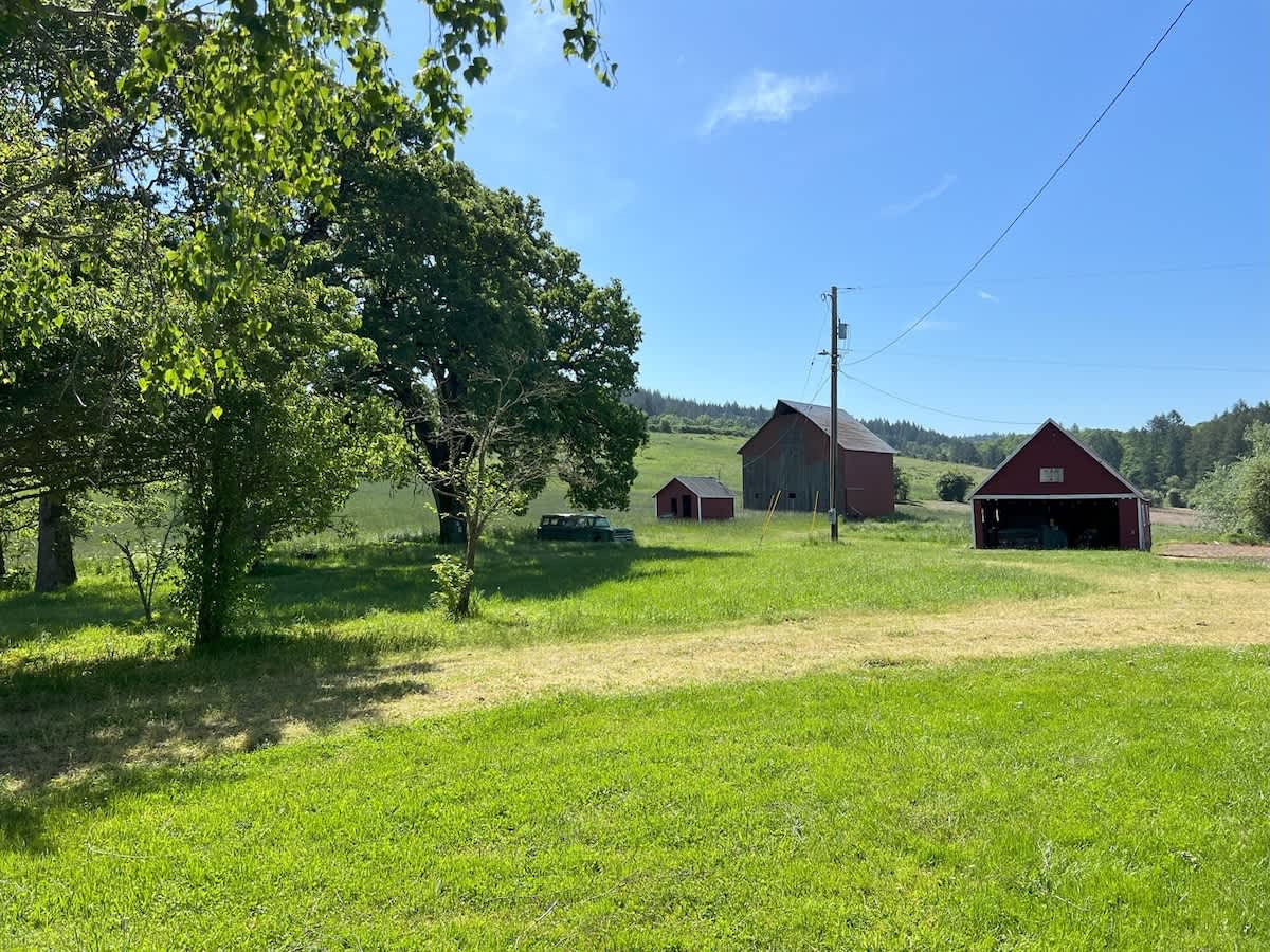 A wide, bright green grassy field leads to a cluster of traditional red barns and outbuildings under a clear blue sky, with an old car visible near the structures.