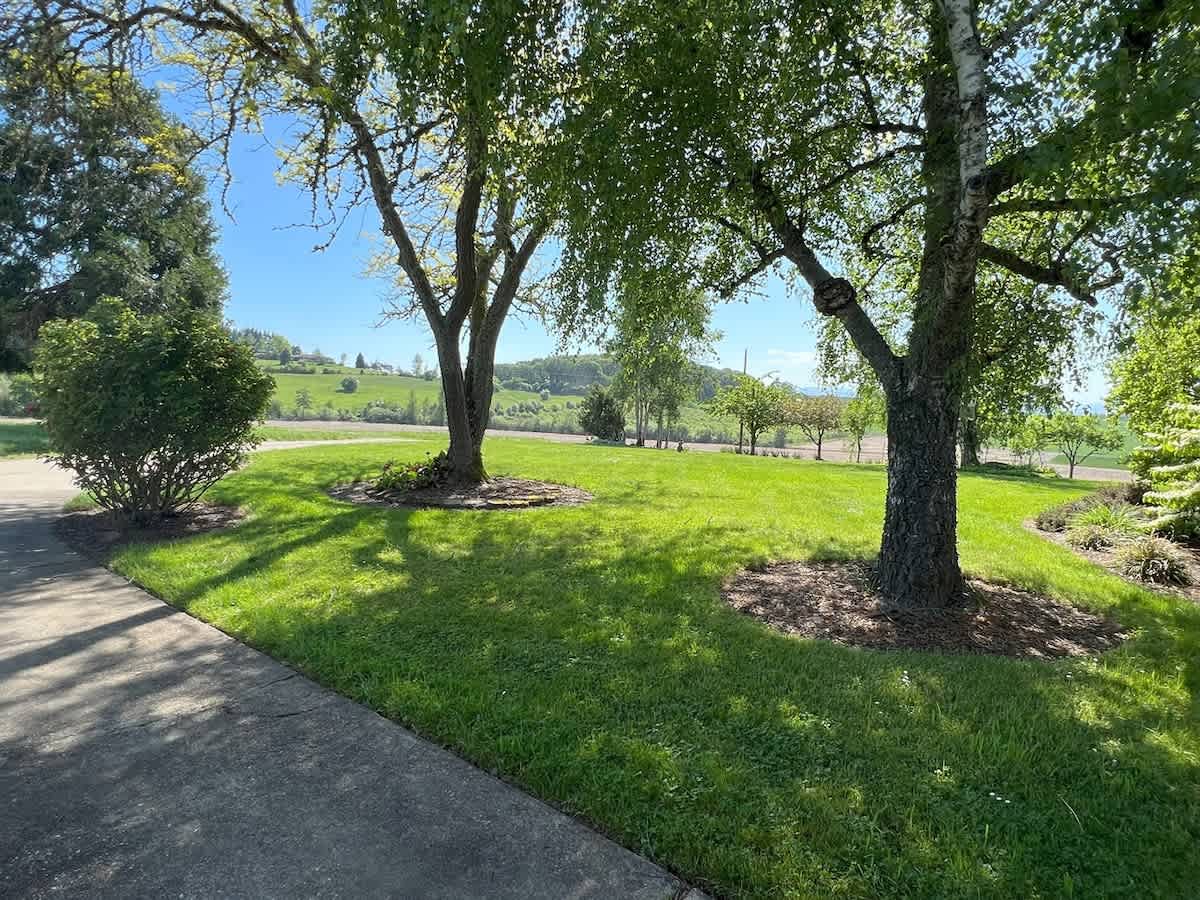 A paved pathway borders a well-maintained green lawn with several mature trees providing shade, set against a backdrop of rolling hills under a clear blue sky.